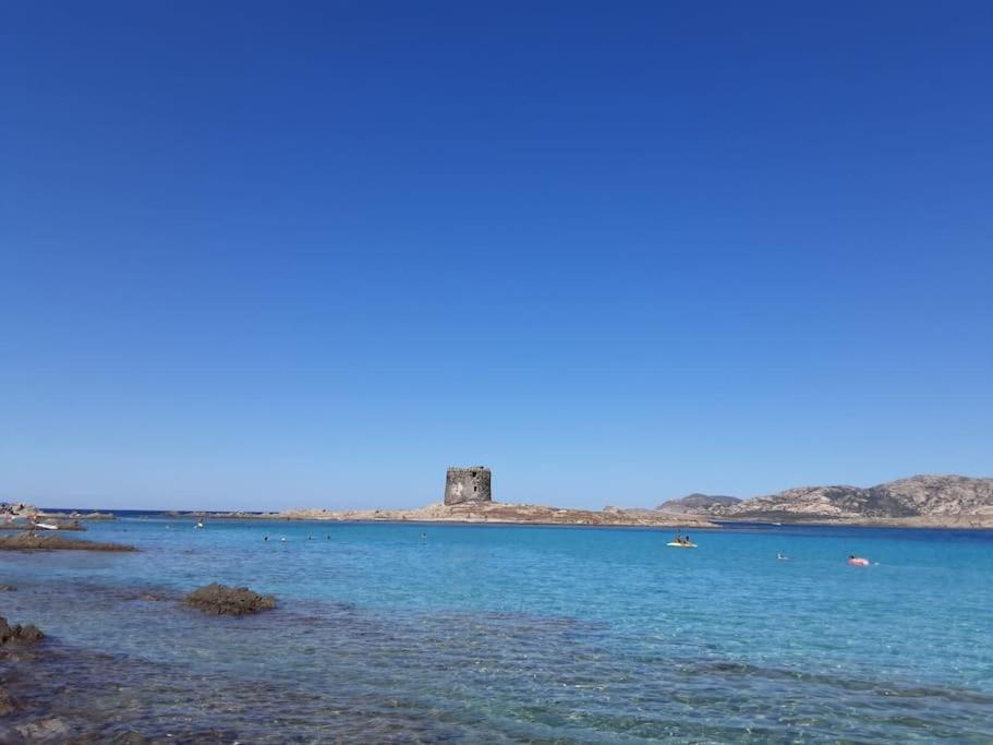 Casa Antonella Daire Porto Torres Dış mekan fotoğraf